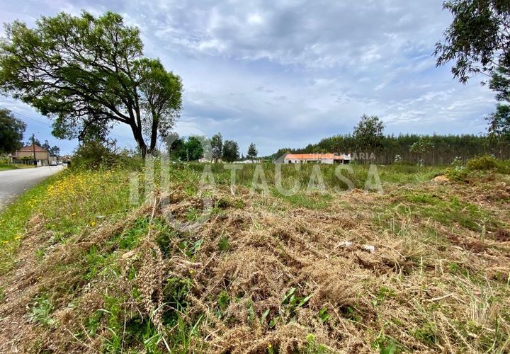 Helårsgrund i Agueda, Aveiro, Agueda - € 55.000 | Ref: 31/2024 - foto 1