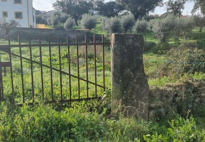 Terra a Nisa, Portalegre, Nisa - € 12.500 | Ref: 112080 - foto 1