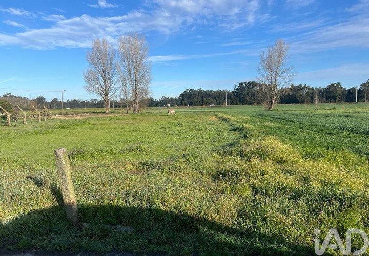 Terra a Estarreja, Aveiro, Estarreja - € 55.000 | Ref: 114910 - foto 1