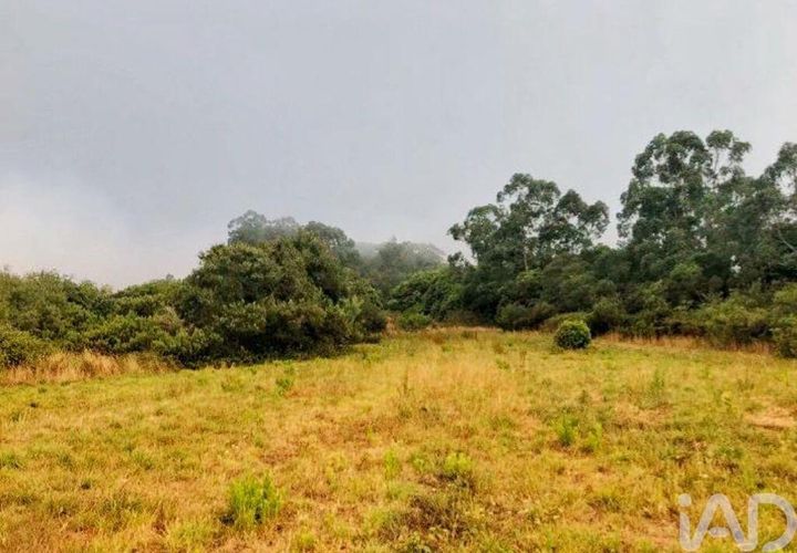 Terra a Sintra, Lisbon, Sintra - € 800.000 | Ref: 53418 - foto 1