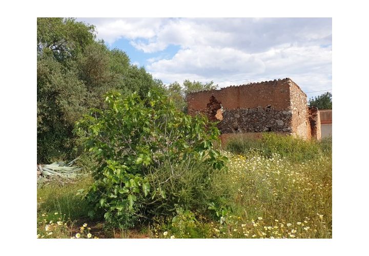 Helårsgrund i Algoz, Faro, Algoz - € 249.500 | Ref: T580 - foto 1