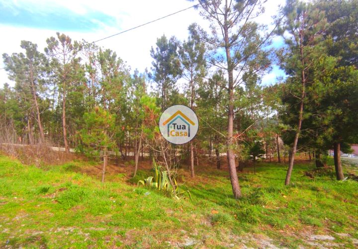 Helårsgrund i Viseu, Viseu, Viseu - € 27.000 | Ref: TC2383 - foto 1