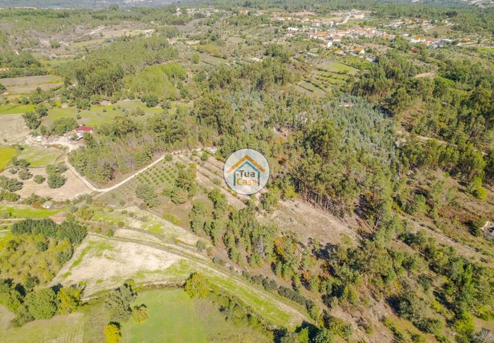 Helårsgrund i Mangualde, Viseu, Mangualde - € 17.000 | Ref: 2TC2840 - foto 1