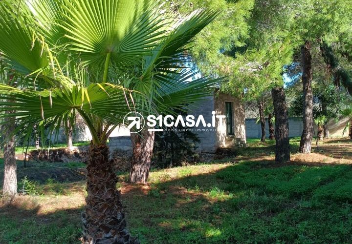 Terra a Galatone, Lecce, Galatone - € 22.000 | Ref: CDM-1287 - foto 1