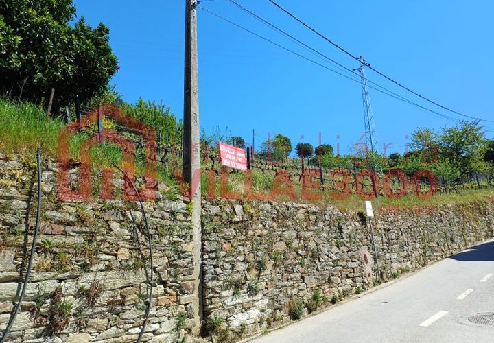 Terra a Moimenta da Beira, Viseu, Moimenta da Beira - € 150.000 | Ref: SÒL_338 - foto 1