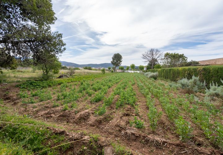 Finca i Ulldecona, Tarragona, Ulldecona - € 30.000 | Ref: 48 - foto 1