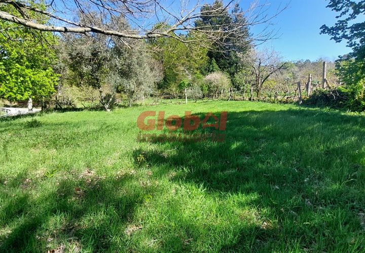 Helårsgrund i Viseu, Viseu, Viseu - € 29.500 | Ref: 189242119 - foto 1