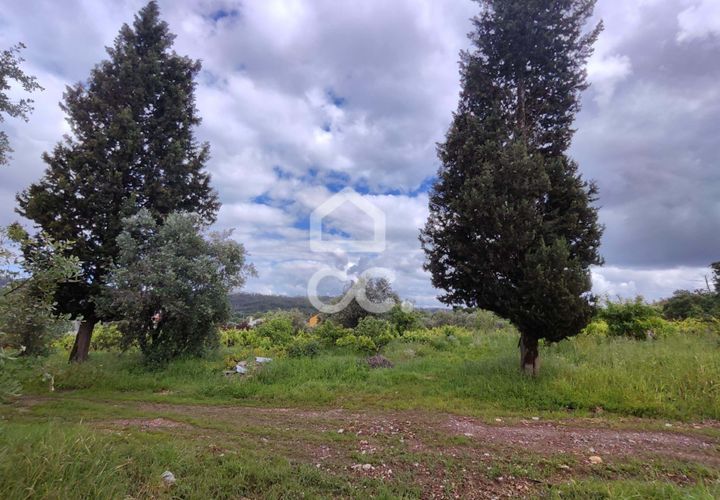 Helårsgrund i Alvaiazere, Leiria, Alvaiazere - € 30.000 | Ref: 385/T/00693 - foto 1