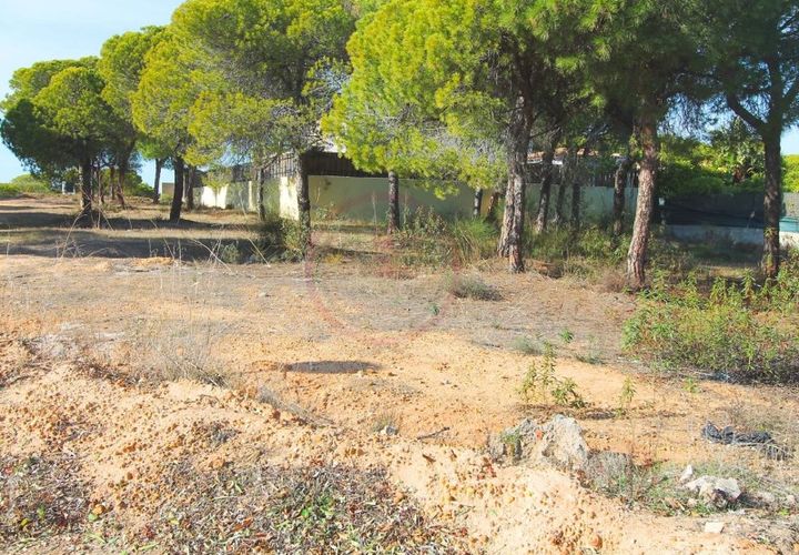 Helårsgrund i Almancil, Faro, Almancil - € 1.975.000 | Ref: t445 - foto 1