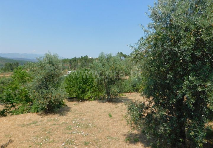 Helårsgrund i Covilha, Castelo Branco, Covilha - € 26.500 | Ref: 111220027 - foto 1