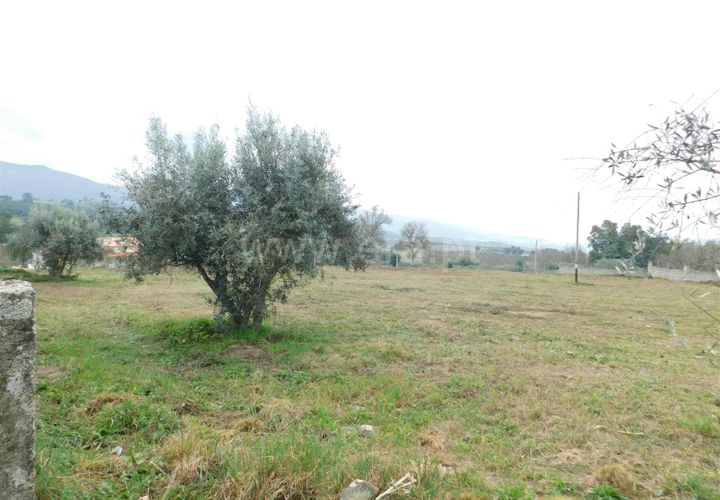 Helårsgrund i Celorico da Beira, Guarda, Celorico da Beira - € 50.000 | Ref: 382240029 - foto 1