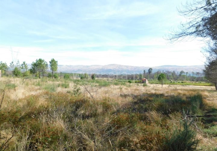 Terra a Seia, Guarda, Seia - € 27.000 | Ref: 382220140 - foto 1