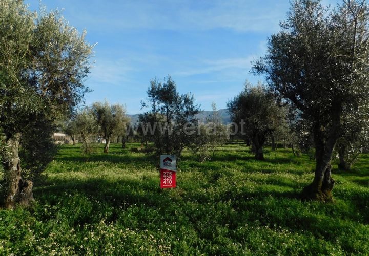 Terra a Gouveia, Guarda, Gouveia - € 13.000 | Ref: 382220178 - foto 1