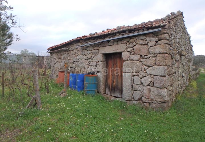 Farm i Seia, Guarda, Seia - € 40.000 | Ref: 382220109 - foto 1