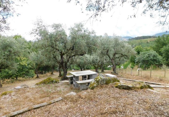 Helårsgrund i Seia, Guarda, Seia - € 17.500 | Ref: 382220337 - foto 1