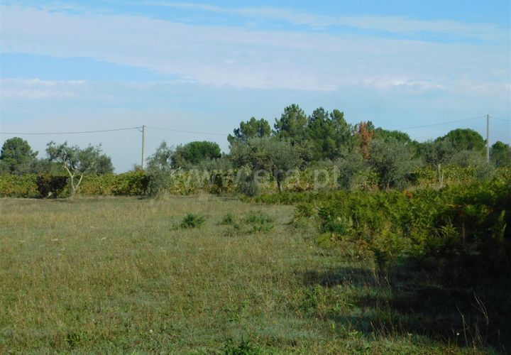 Helårsgrund i Seia, Guarda, Seia - € 45.000 | Ref: 382220446 - foto 1