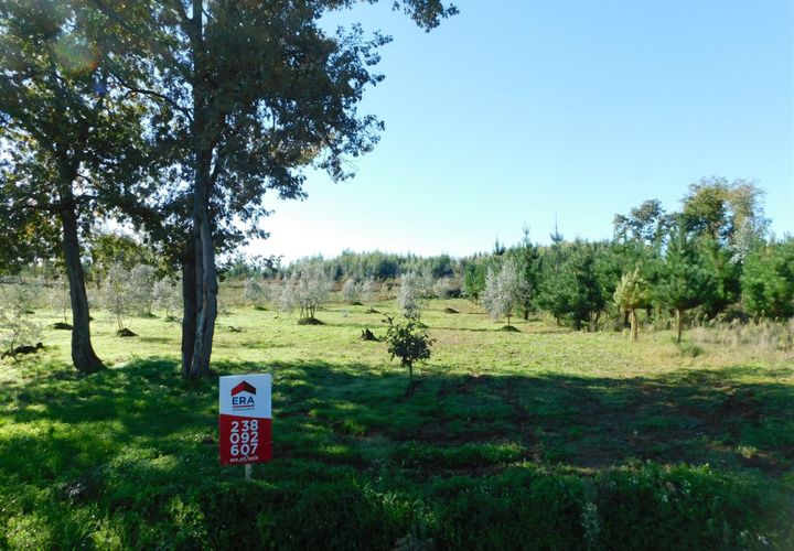Helårsgrund i Seia, Guarda, Seia - € 16.000 | Ref: 382220477 - foto 1