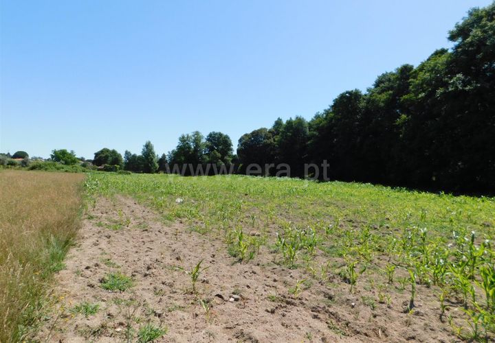 Tomt i Seia, Guarda, Seia - € 30 000 | Ref: 382220431 - foto 1