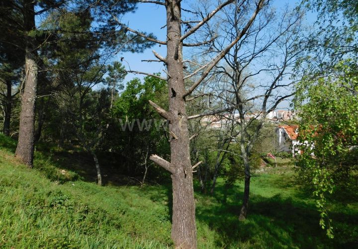 Tomt i Seia, Guarda, Seia - € 47 500 | Ref: 382220056 - foto 1