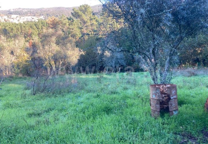 Tomt i Seia, Guarda, Seia - € 12 500 | Ref: 382220484 - foto 1