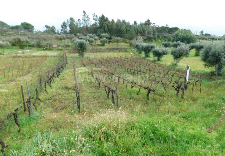 Helårsgrund i Gouveia, Guarda, Gouveia - € 22.500 | Ref: 382230051 - foto 1