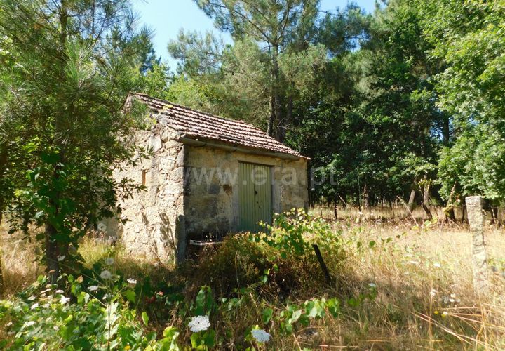 Helårsgrund i Seia, Guarda, Seia - € 16.500 | Ref: 382220007 - foto 1