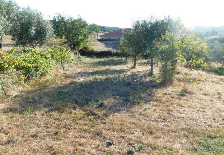 Terra a Seia, Guarda, Seia - € 70.000 | Ref: 382220013 - foto 1