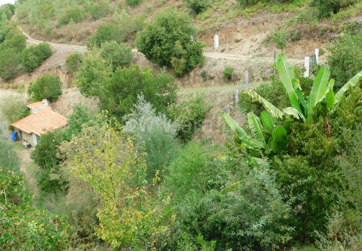 Landejendom i Seia, Guarda, Seia - € 36.000 | Ref: 382230178 - foto 1
