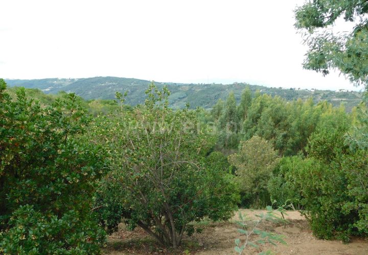 Helårsgrund i Seia, Guarda, Seia - € 28.000 | Ref: 382230179 - foto 1