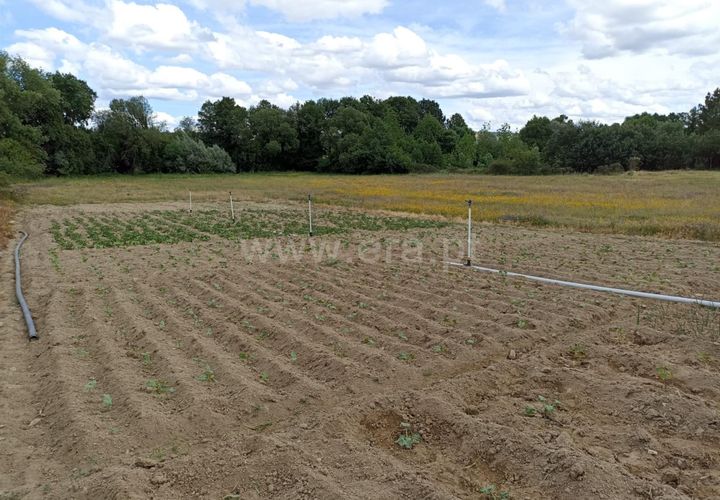 Helårsgrund i Belmonte, Castelo Branco, Belmonte - € 65.000 | Ref: 111140451 - foto 1