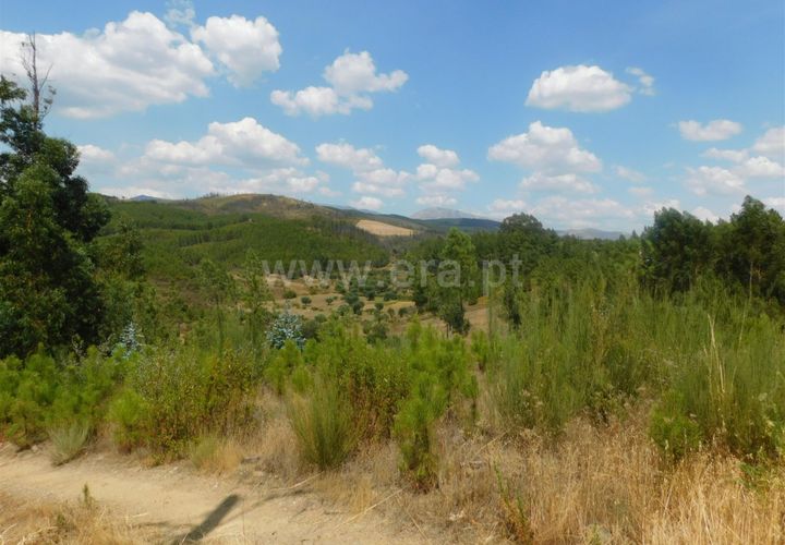 Helårsgrund i Covilha, Castelo Branco, Covilha - € 36.500 | Ref: 111190338 - foto 1