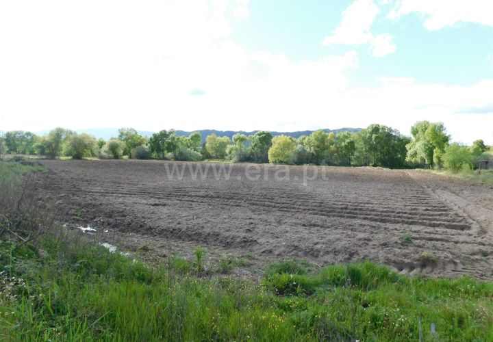 Helårsgrund i Belmonte, Castelo Branco, Belmonte - € 55.000 | Ref: 111220132 - foto 1