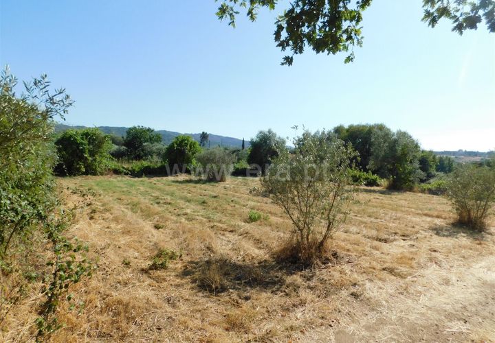 Farm i Covilha, Castelo Branco, Covilha - € 65.000 | Ref: 111220180 - foto 1