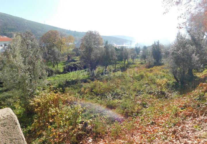 Helårsgrund i Covilha, Castelo Branco, Covilha - € 57.500 | Ref: 111230336 - foto 1