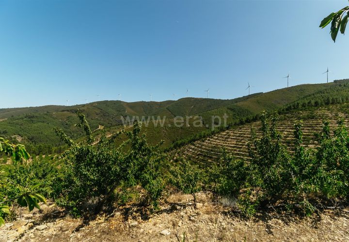 Helårsgrund i Fundao, Castelo Branco, Fundao - € 350.000 | Ref: 111230132 - foto 1