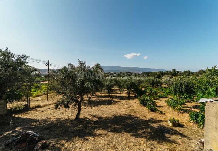 Helårsgrund i Fundao, Castelo Branco, Fundao - € 32.500 | Ref: 111230135 - foto 1