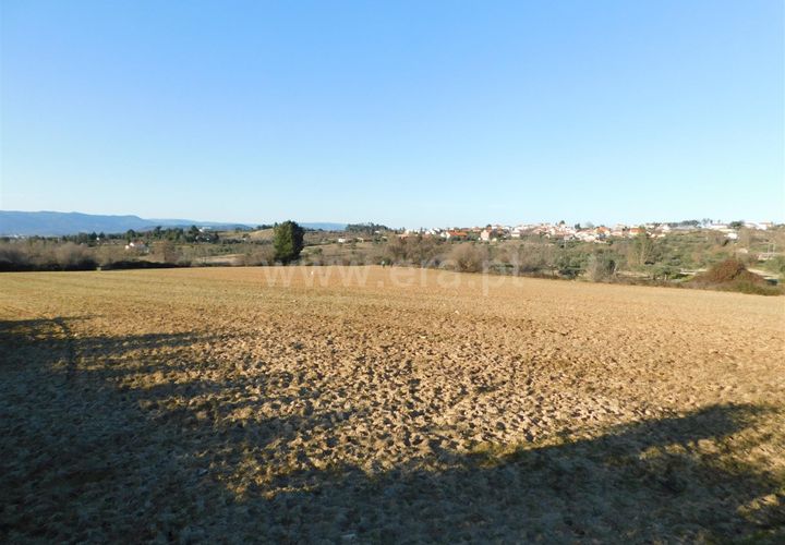 Helårsgrund i Belmonte, Castelo Branco, Belmonte - € 43.000 | Ref: 111100420 - foto 1