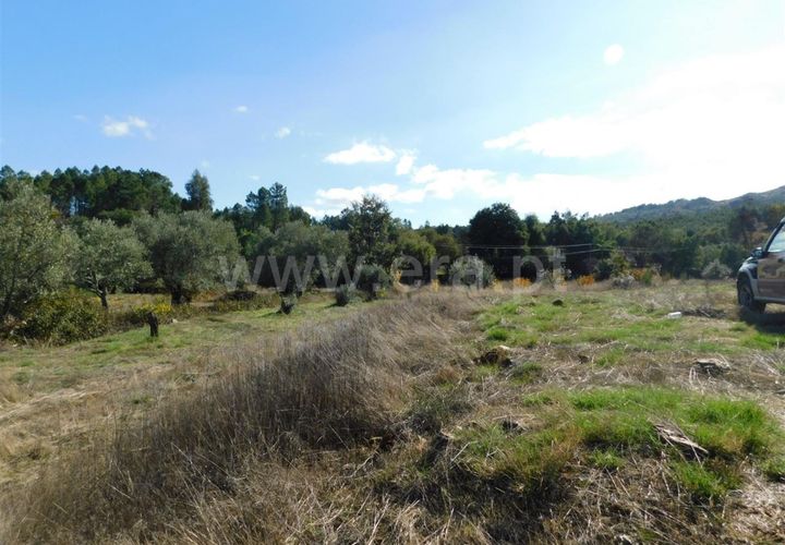 Helårsgrund i Fundao, Castelo Branco, Fundao - € 12.500 | Ref: 255180285 - foto 1
