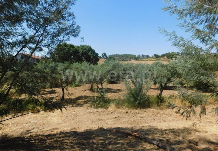 Farm i Fundao, Castelo Branco, Fundao - € 27.500 | Ref: 255190168 - foto 1