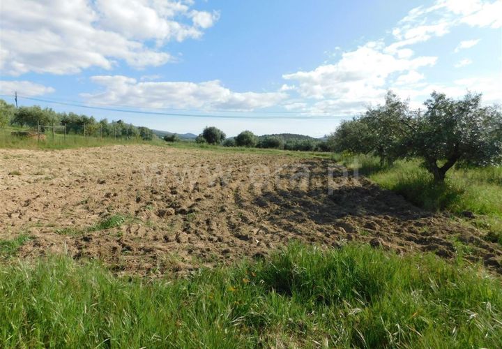 Tomt i Fundao, Castelo Branco, Fundao - € 17 500 | Ref: 255200084 - foto 1