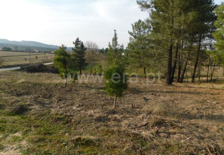 Helårsgrund i Fundao, Castelo Branco, Fundao - € 26.000 | Ref: 255200005 - foto 1