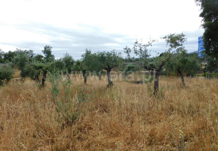 Helårsgrund i Fundao, Castelo Branco, Fundao - € 7.900 | Ref: 255190130 - foto 1