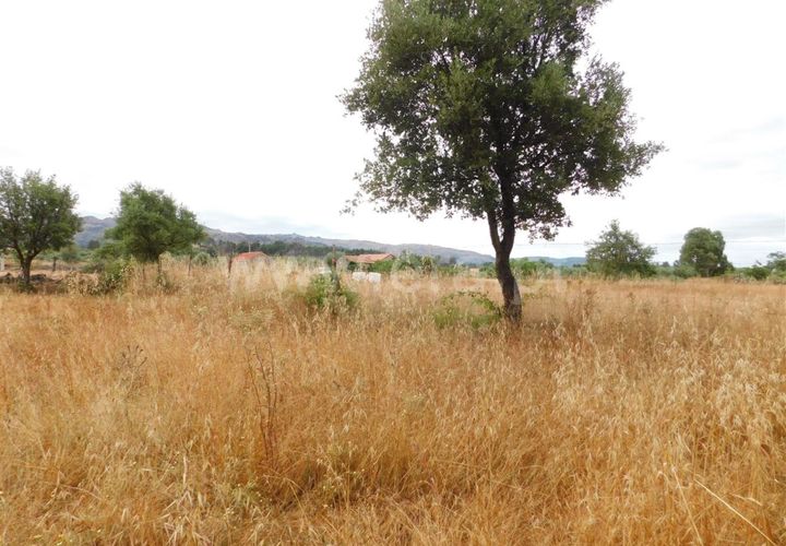 Helårsgrund i Fundao, Castelo Branco, Fundao - € 15.000 | Ref: 255190131 - foto 1