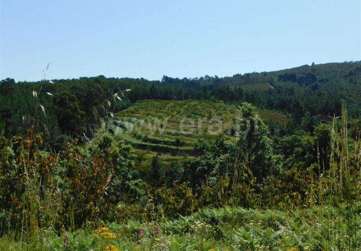 Erhvervsejendom i Fundao, Castelo Branco, Fundao - € 83.000 | Ref: 255200105 - foto 1