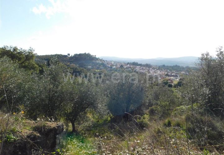 Helårsgrund i Fundao, Castelo Branco, Fundao - € 17.500 | Ref: 255210175 - foto 1