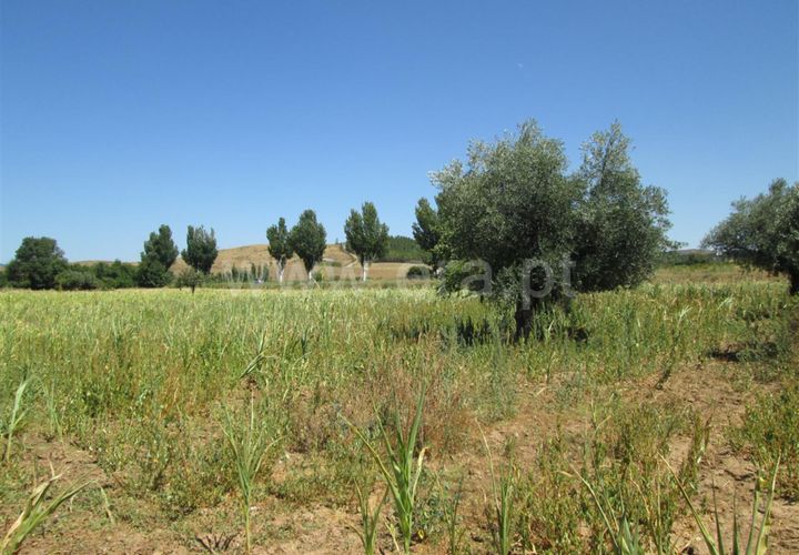 Gård i Fundao, Castelo Branco, Fundao - € 22 000 | Ref: 255150180 - foto 1