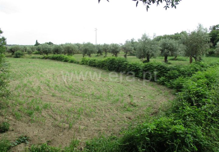 Erhvervsejendom i Fundao, Castelo Branco, Fundao - € 75.000 | Ref: 255160135 - foto 1