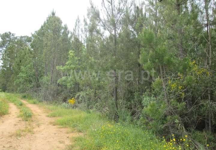 Helårsgrund i Fundao, Castelo Branco, Fundao - € 15.000 | Ref: 255160144 - foto 1