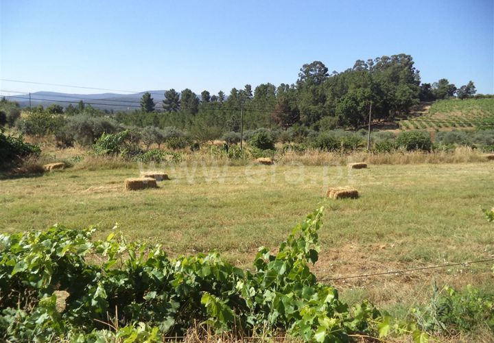 Farm i Fundao, Castelo Branco, Fundao - € 86.500 | Ref: 255160192 - foto 1