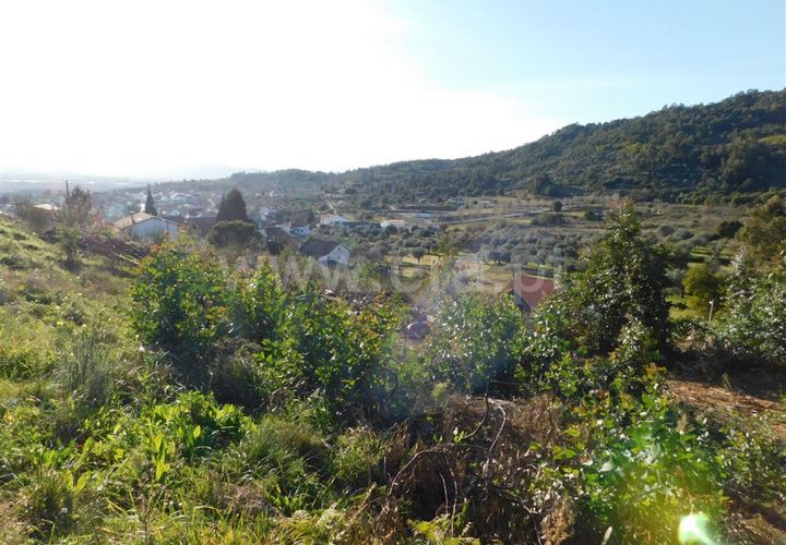 Tomt i Fundao, Castelo Branco, Fundao - € 50 000 | Ref: 255220013 - foto 1